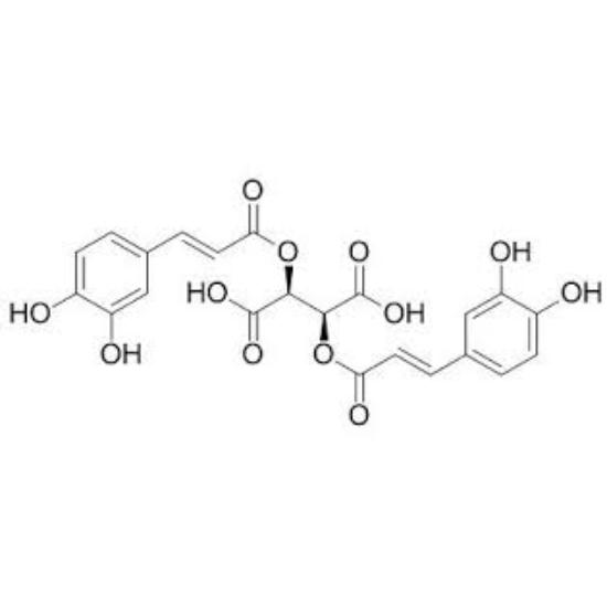 Chicoric Acid - Application: Nutra/food Application