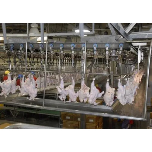 Automatic Chicken Processing Plant - Capacity: 50 Pcs/Hr