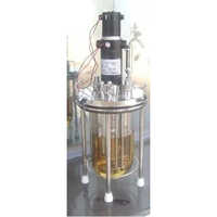 Glass Laboratory Fermenter - Size: Standard