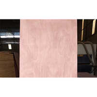 Hardwood Flush Door Plywood