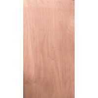 Brown Pine Wood Flush Door Plywood