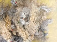 South Indian Temple Remy Grey Color Bulk Hair