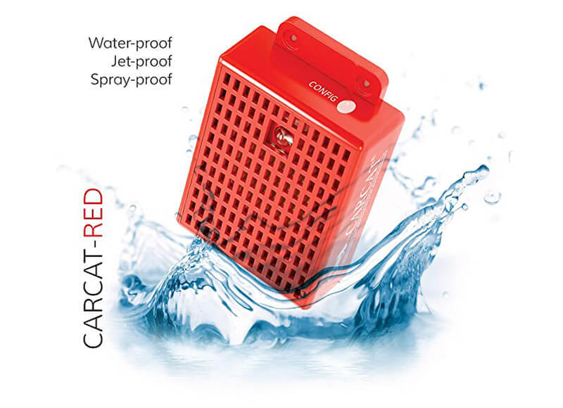 CARCAT RED