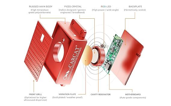 CARCAT RED