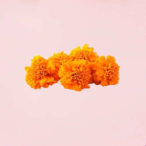 Natural  Marigolds - Color: Different Available