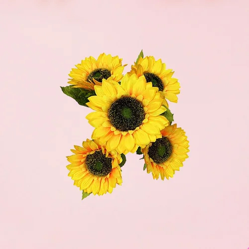 Artificial Sunflowers - Feature: Easy To Clean