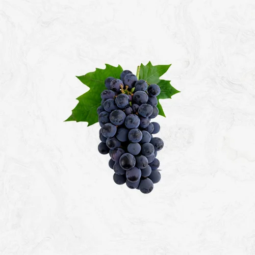 Fresh Grape - Cultivation Type: Common