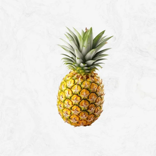 Fresh Pineapple - Cultivation Type: Common