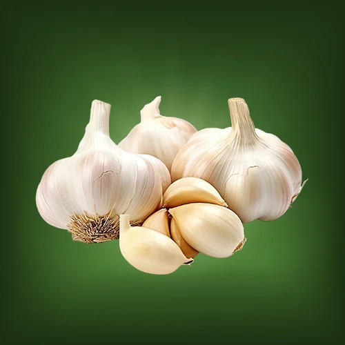 Fresh Garlic - Moisture (%): 5% - 10%