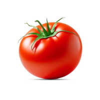 Fresh Tomato - Moisture (%): 5% - 10%