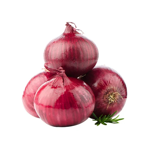 Fresh Onion - Moisture (%): 5% - 10%