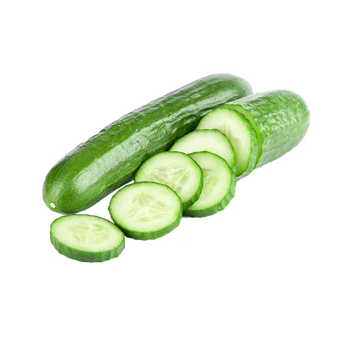 Fresh Cucumber - Moisture (%): 5% - 10%