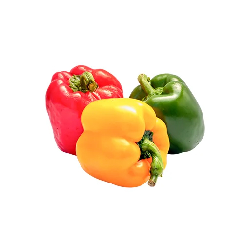 Bell Pepper - Moisture (%): 5% - 10%