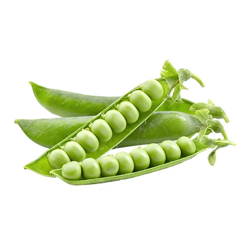 Fresh Peas - Moisture (%): 5% - 10%