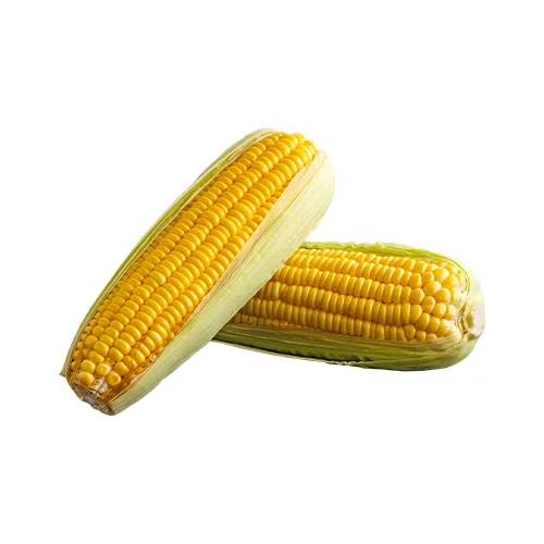 Sweet Corn - Moisture (%): 5% - 10%