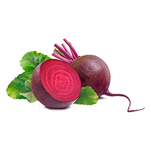 Fresh Beetroot - Moisture (%): 5% - 10%