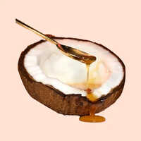 Coconut Shell Powder - Diamond Shaped, Customized Size | Eco-Friendly, Purity, Exfoliating Properties, Organic Fertilizer