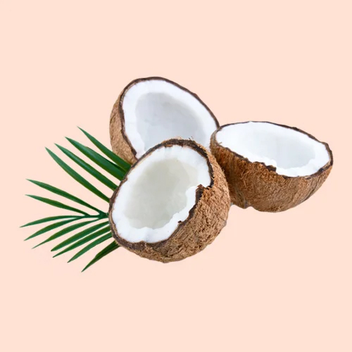 Flavoured Coconut Milk - Cultivation Type: Common