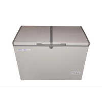 Gt50ahp Glass Top Freezer - Capacity: 400 Ltr