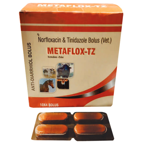 Norfloxacin And Tinidazole Bolus