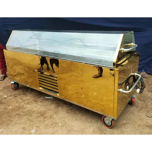 Golden Steel Dead Body Freezer Box - Color: Silver