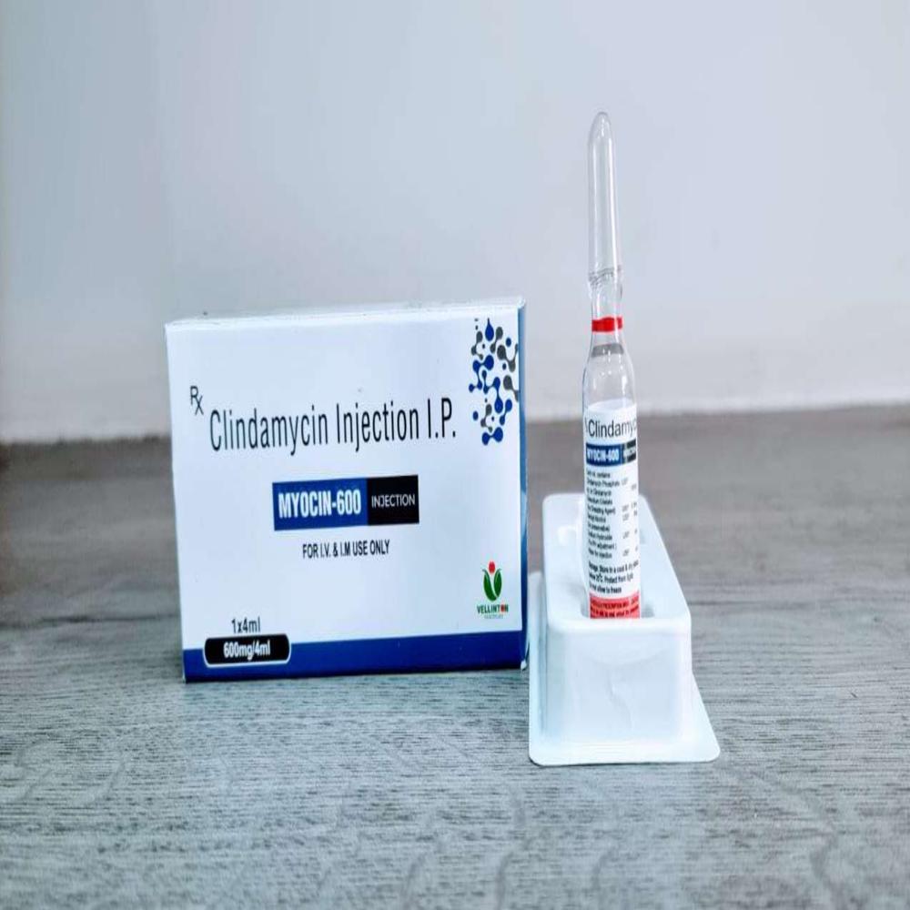 Clindamycin 600 Mg + Edta - Liquid Formulation | Antimicrobial Solution For Effective Infection Management