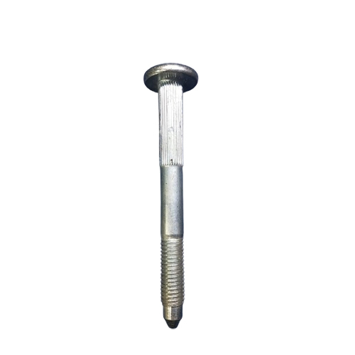 Stainless Steel Bolt - Color: As Per Requirement