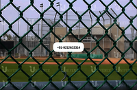 Green PVC Coated Chain Link Fence, Iron PVC Coated Chain Link Fencing