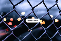 SS Chain Link Wire Fencing