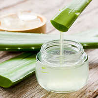 Pure Aloe Vera - Grade: Medicine Grade