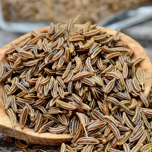 Caraway Seeds - Color: Brown