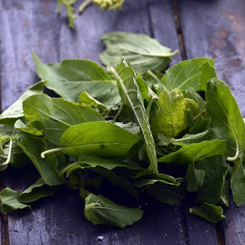Tulsi Leaves
