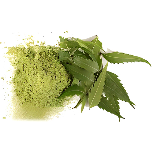 Neem Leaves And Neem Powder