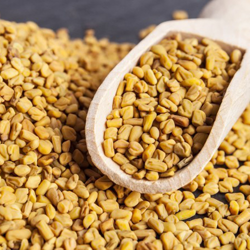 Organic Fenugreek Seeds - Color: Brown