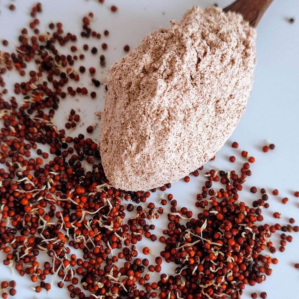 Sprouted Ragi Flour - 400 Gms | Advanced Low-temperature Dehydration, Pure Natural Ragi, Rich In Protein 8.5g, Easy To Digest, No Additives