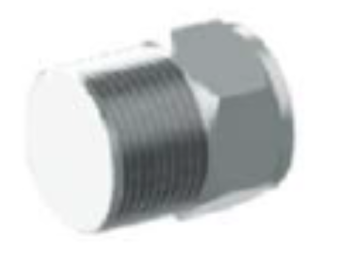Pipe Plug