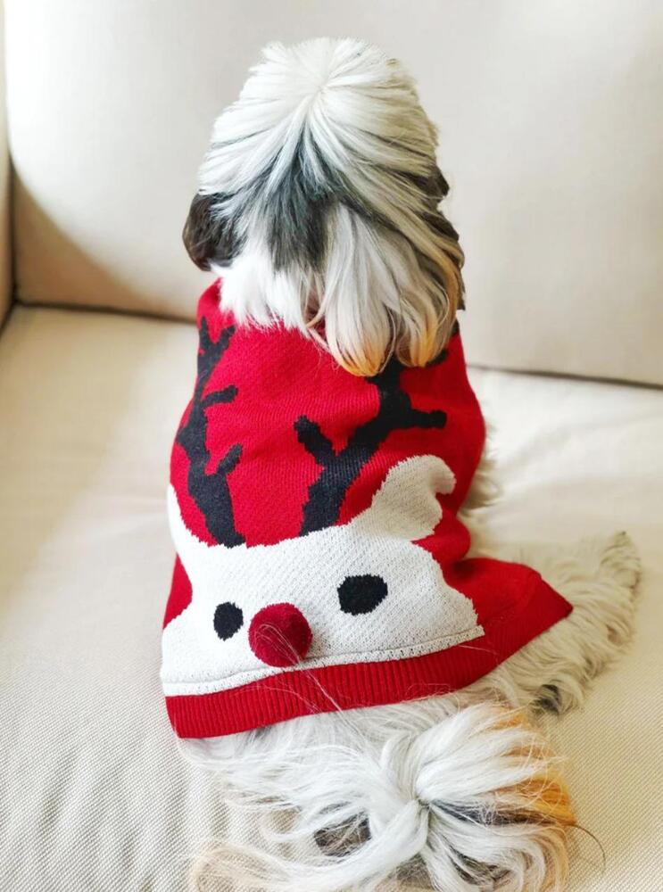 कुत्ते का ऊनी स्वेटर