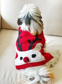 कुत्ते का ऊनी स्वेटर