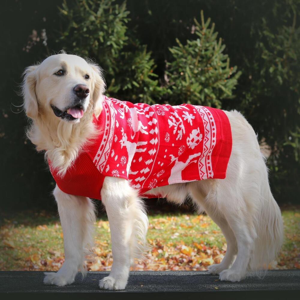 Dog Woollen Sweater