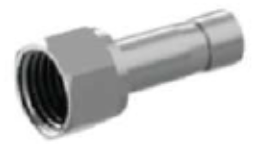 BSP Female Threads Adapter