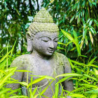 Ffs101 Concrete Buddha Garden Statues - Polished Grey Concrete, Different Sizes Available | Indian Regional Style, Weather-resistant For Home And Outdoor Decoration