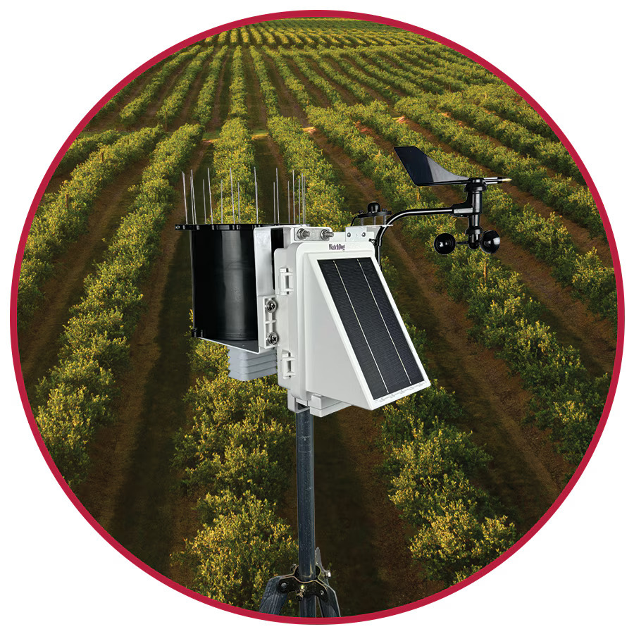 Watchdog Wireless Et Weather Station - Electric Power Supply, White Color, Analog And Digital Display | Measures Temperature, Humidity, Rainfall, Wind Speed, Solar Radiation, Additional Sensor Ports Available