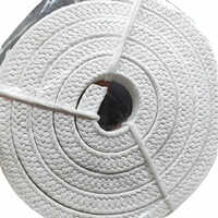 Ptfe Gland Rope - 28 Mm Size, 100 Meter Length | Corrosion Resistant, High-temperature Resistance Up To 200â°c, Versatile Sealing Solution