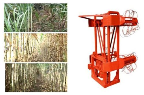 Sugarcane Leaft Remover