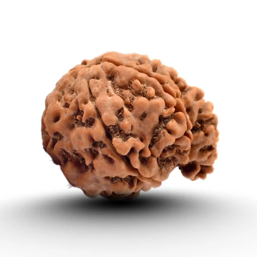 Ganesh Panch Mukhi Rudraksha Beads