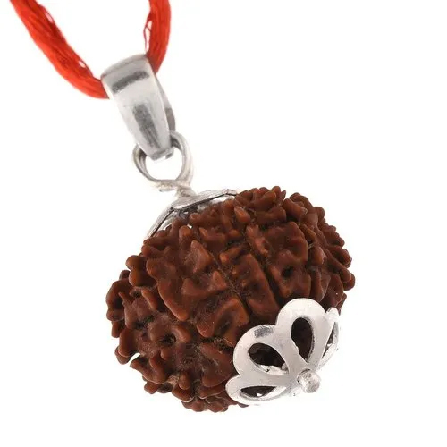 10 Mukhi Rudraksha Silver Pendant - Beads Colour: Brown