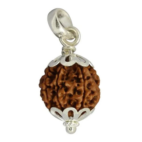 9 Mukhi Rudraksha Silver Pendant - Beads Colour: Brown