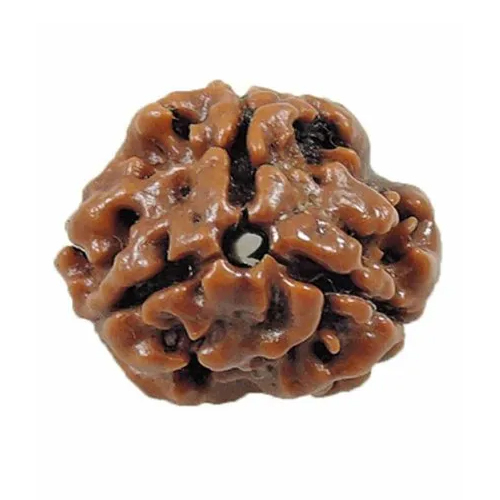 3 Mukhi Rudraksha Beads - Beads Colour: Brown