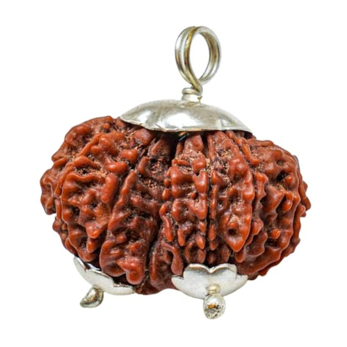 Natural Gauri Shankar Rudraksha Pendent - Gender: Male