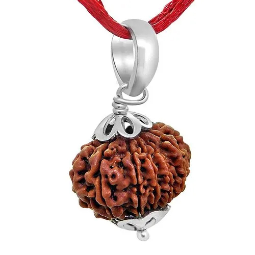 11 Mukhi Rudraksha Silver Pendant - Gender: Male